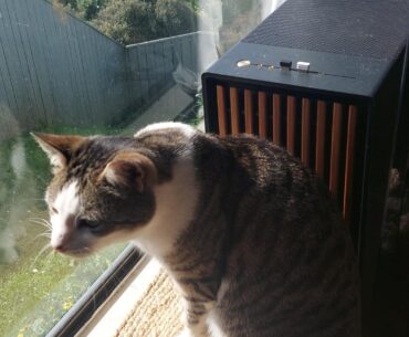 Any danger to a PC in the sun?
