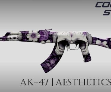 AK-47 | AESTHETICS