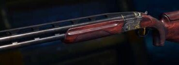 This beauty had no right not to be in ZC