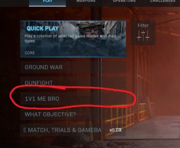 Are you able to level up guns & unlock gun camos in this gamemode? (MW19)