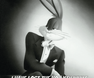 And for the life of me I cannot find it!