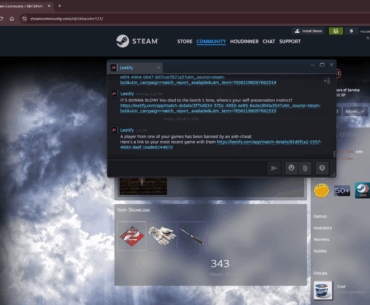 Another player with knife and glove combo banned