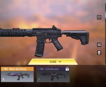 Only M4 skin i owned, is free legendary🫣