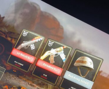 To All My Sweat WW2 Player What Is The Best Gun In This Game??