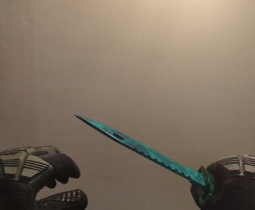 Rate my new combo?