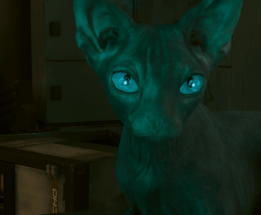 Fun fact: The cat sitting at the Pacifica amusement park ticket booth, which opens the safe in exchange for food, has "transaction eyes."