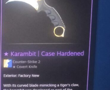 New to the game using older brothers acc, is this the prized knife?