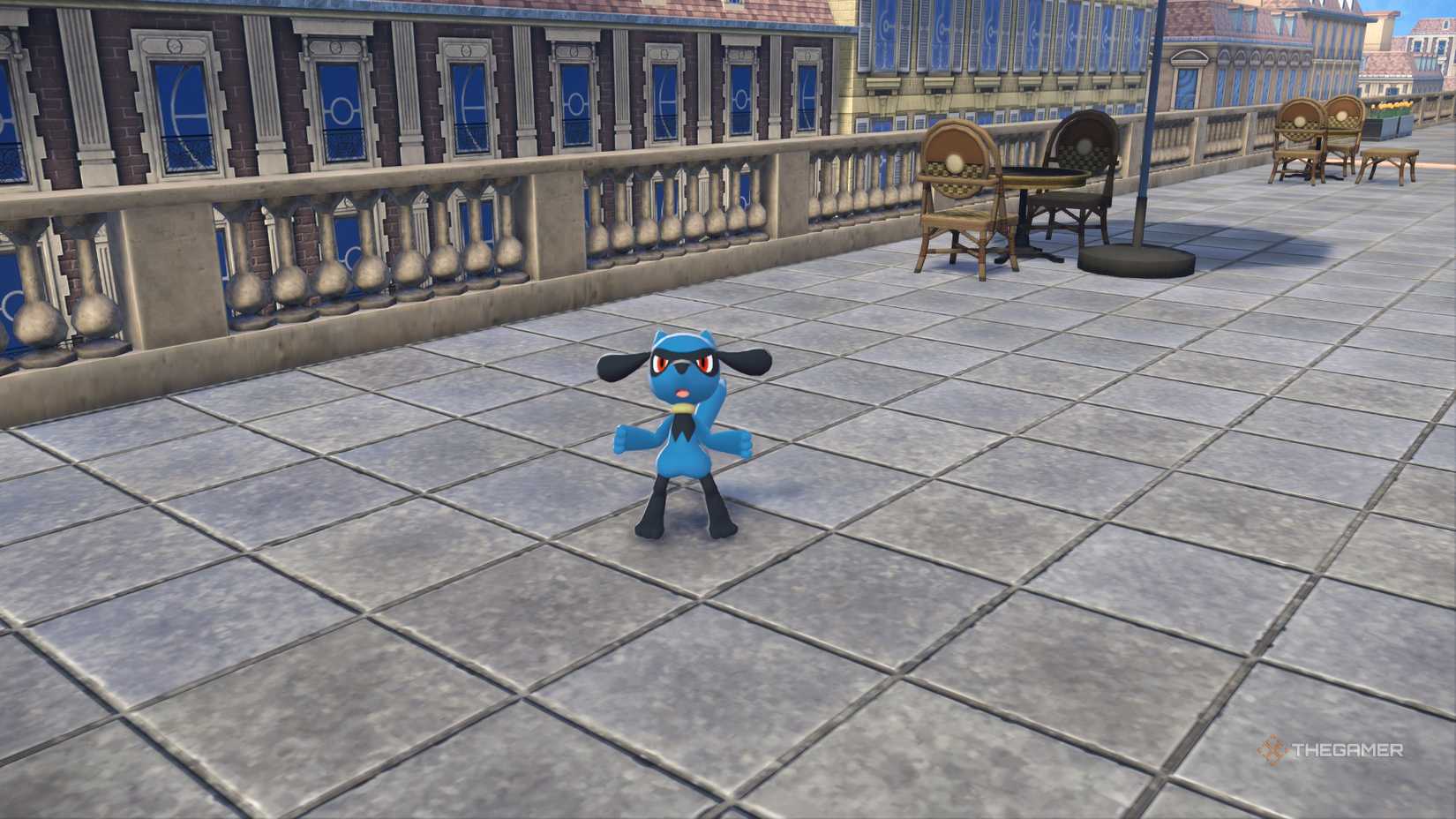 Riolu in Pokemon Legends Z-A.