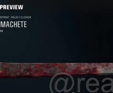 Walking dead loadout abt to be complete