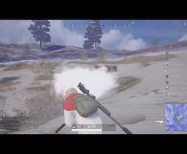 Polar bear!