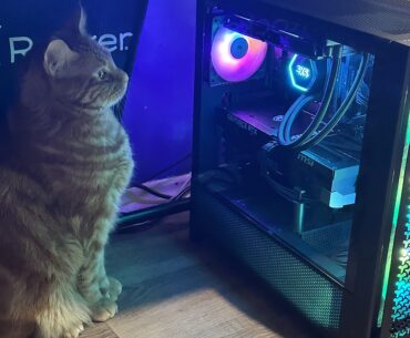 The real reason I have rgb