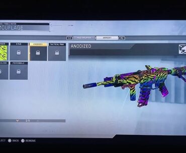 If they were to put more camos ... Why not take these in consideration