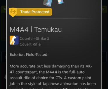 First skin after 25 hours of CS2