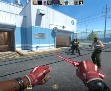 Which Knife/Glove combo looks better?