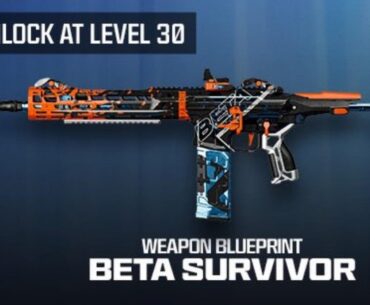 Remember when they released the VG m1 garand & STG for cold war warzone? They should do this again but with the bo7 beta blueprint