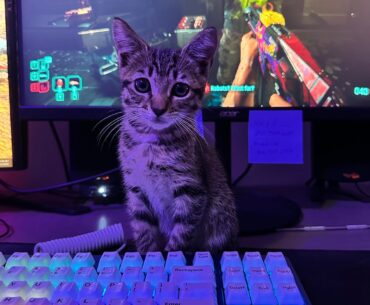He likes to watch