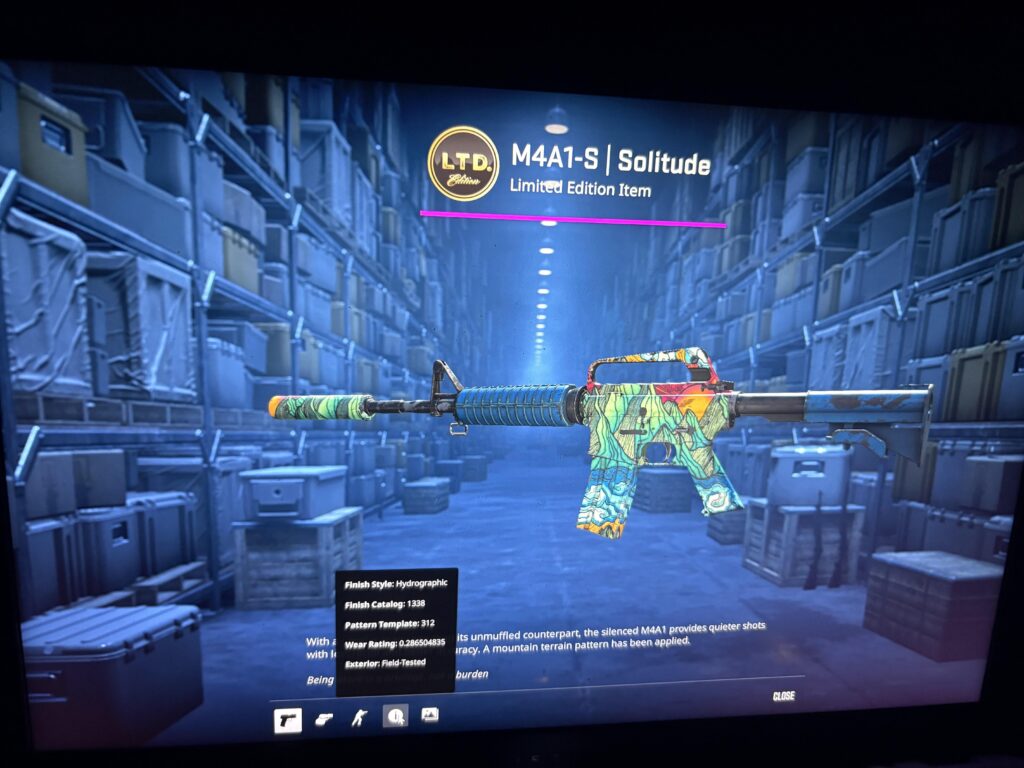 I paid $3 for this skin and it looks cool