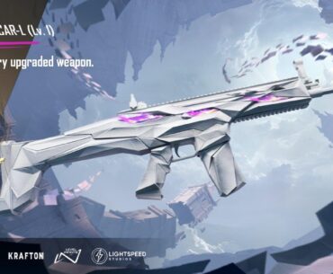 Finally a good looking skin on SCAR-L