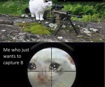Another day, another slay for the snipers