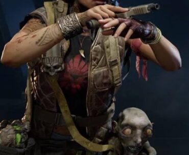 Maya is carrying a Denizen in her reward skin from Directed Mode