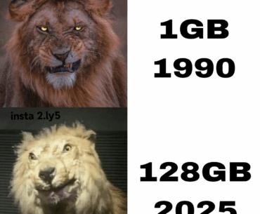 fact
