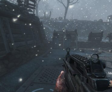 Why did treyarch silently change the name of the "dempsey" to the "takeo"?