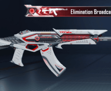 Is this gun skin worth it?
