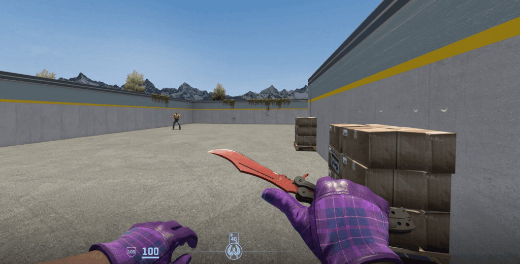 Finally got my dream loadout