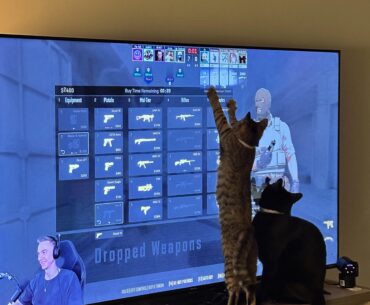 they are learning
