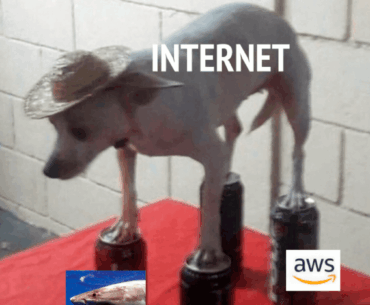 Entire internet depending on this fr