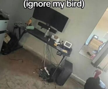 rate my setup, rtx 4070super, i5 13600k