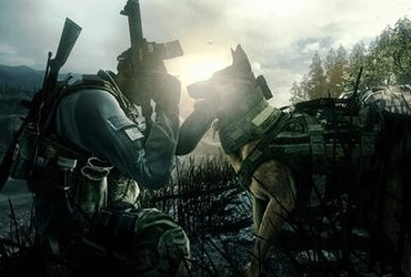 [COD] Is there an official date for Operation Sand Viper？