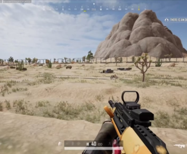 First time really using this place