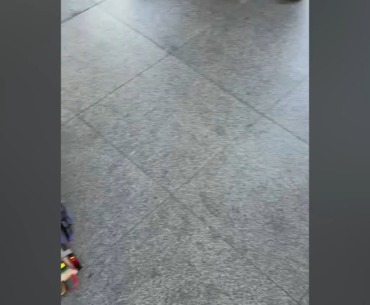 Bomb has been planted
