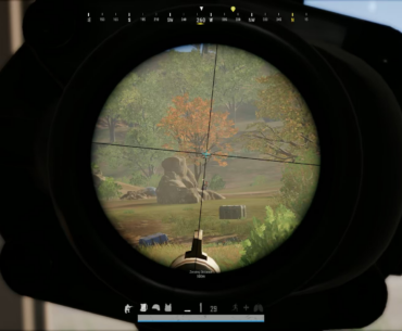 M24 reflex