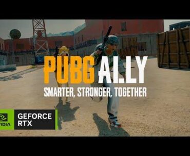 PUBG Ally