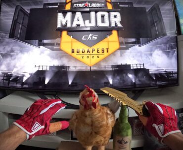 Got the pets update IRL & ★ Sport Gloves | Slingshot as I still can't afford them ingame.
