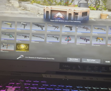 I opened one random case before closing my game, and unboxed this…
