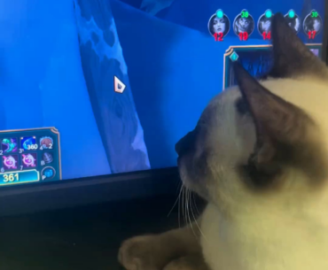 High-precision mouse tracking is turned on.