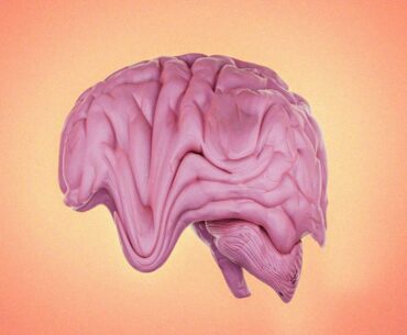 New Development Environment for Programmers Rewards Them With Brainrot When They Prompt the AI