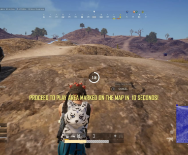 Fist fight for the win