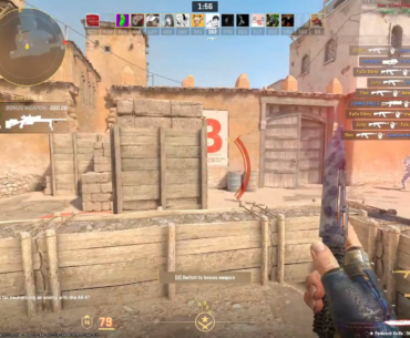 weird bug