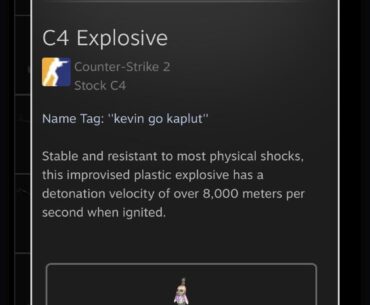 What have you named your C4?