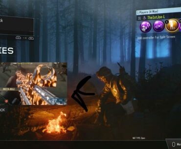 No wonder Primis and the shadows crew are so strong they have been eating the liberty falls pap camo that’s what the can of beans contain!