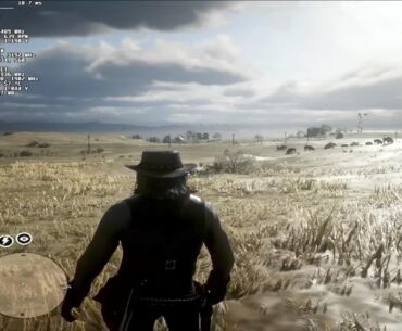 Red Dead 2 on a gt1030 at 60fps