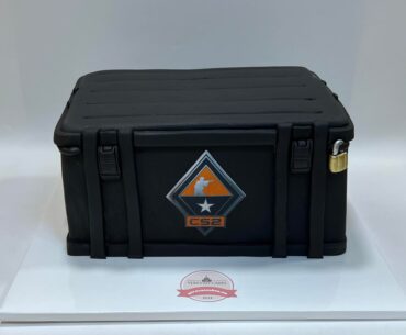 We at Yerevan Cakes have created a weapon case