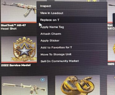 Can’t trade a skin