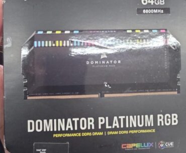 I found this ram at one of my local bin stores for $9