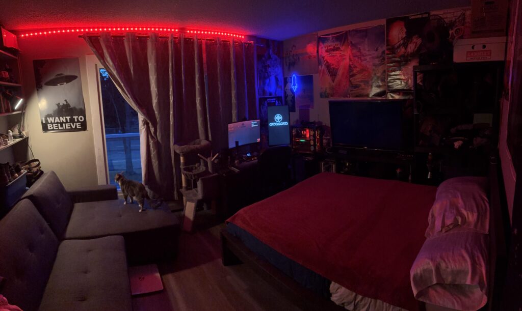 My living room/bedroom setup