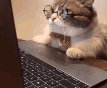 When you checking if you can run the game on ultra settings